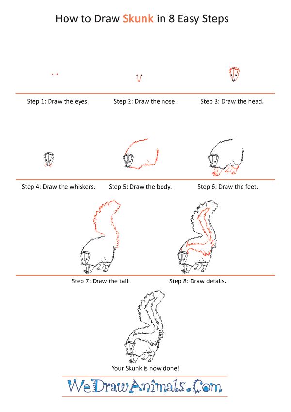 How to Draw a Realistic Skunk - Step-by-Step Tutorial