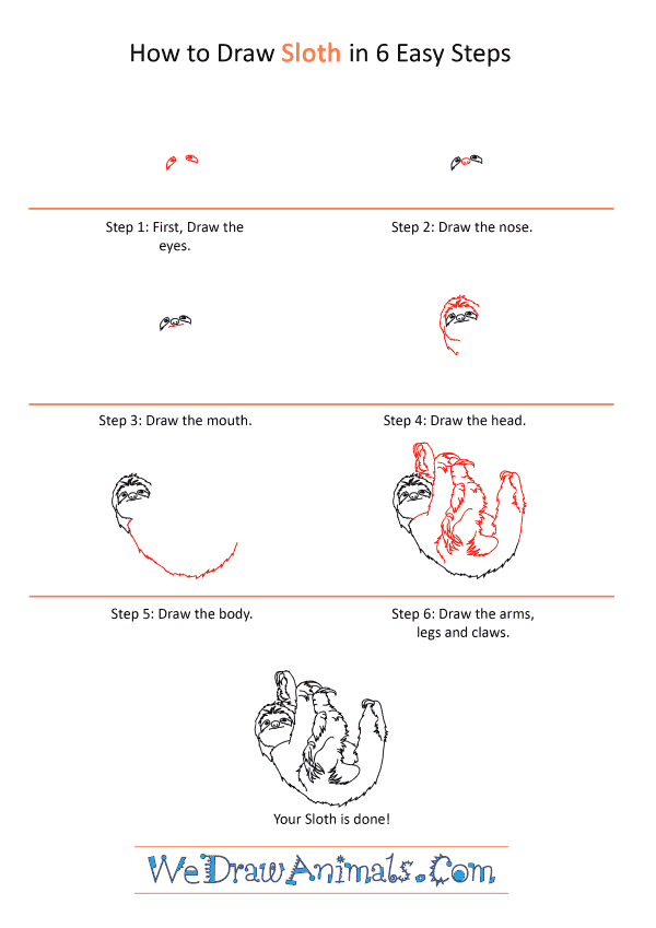 How to Draw a Realistic Sloth - Step-by-Step Tutorial