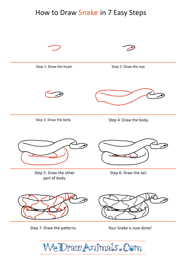 How to Draw a Realistic Snake - Step-by-Step Tutorial