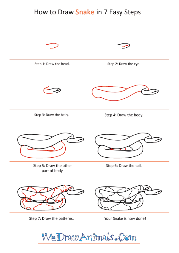 coiled rattlesnake drawing realism