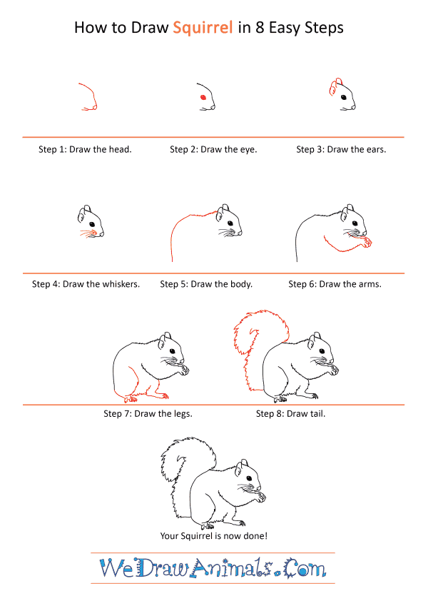 How to Draw a Realistic Squirrel - Step-by-Step Tutorial