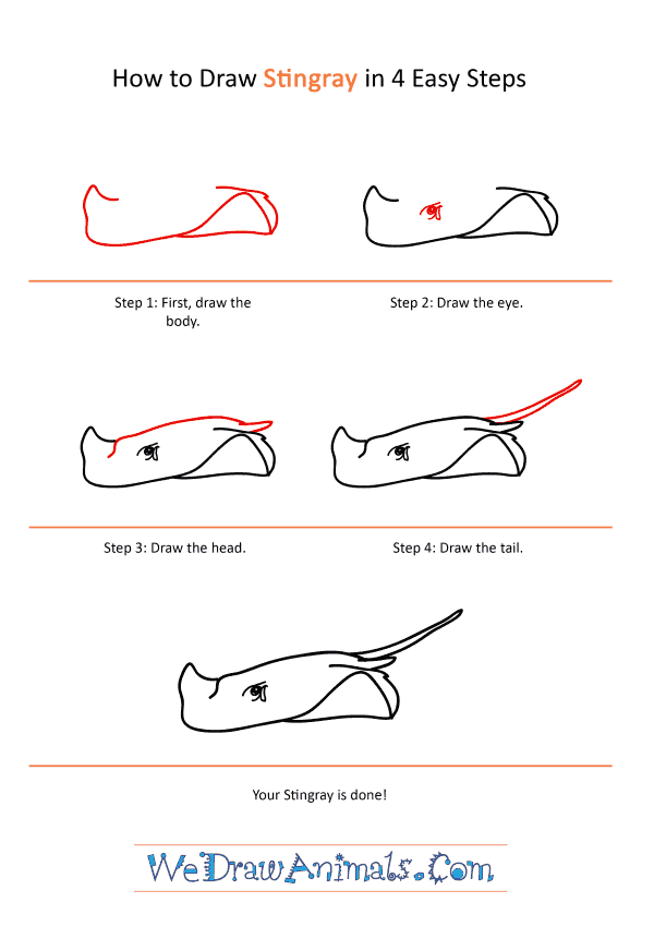 How to Draw a Realistic Stingray - Step-by-Step Tutorial
