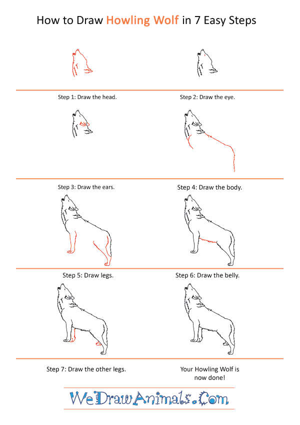 How to Draw a Realistic Wolf Howling - Step-by-Step Tutorial