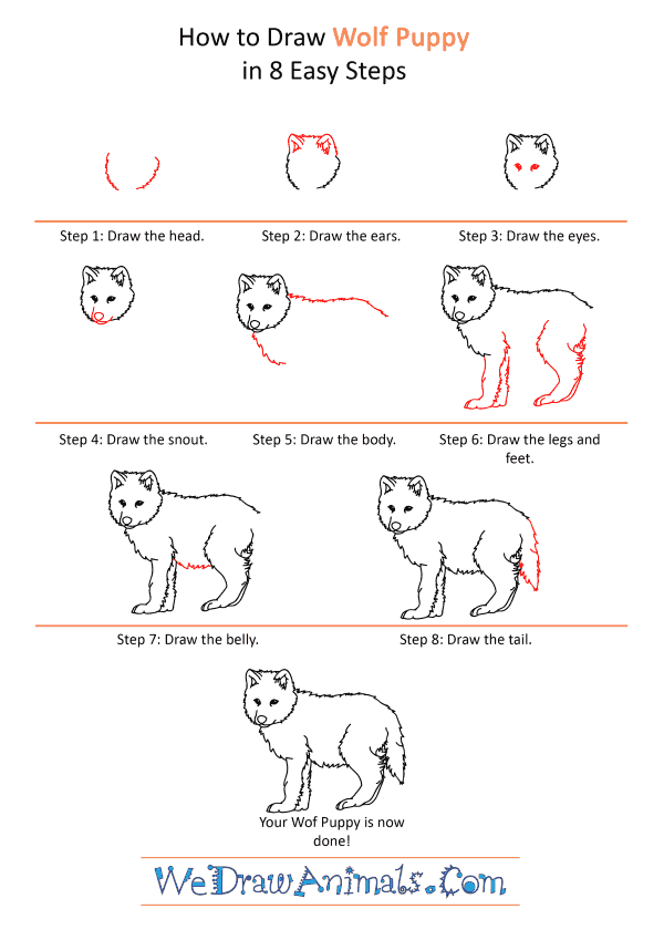 How to Draw a Realistic Wolf Pup - Step-by-Step Tutorial