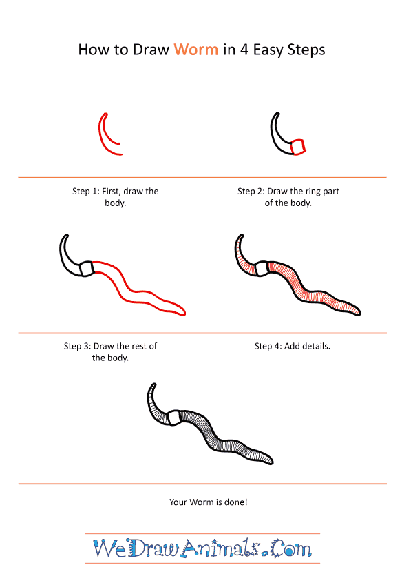 How to Draw a Realistic Worm - Step-by-Step Tutorial