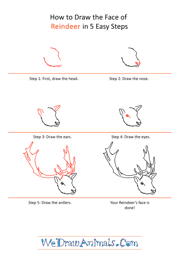 How to Draw a Reindeer Face - Step-by-Step Tutorial