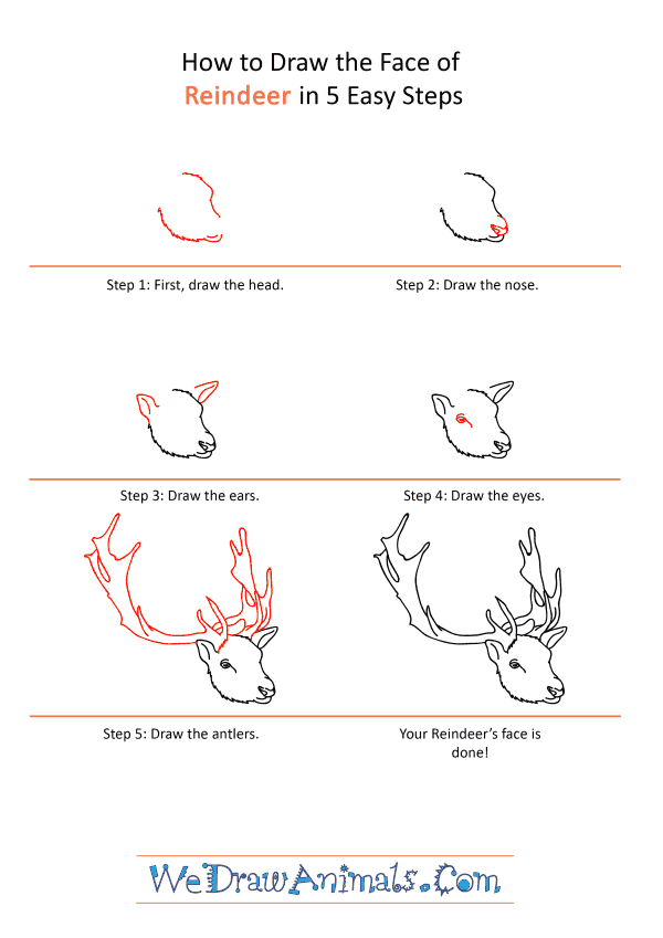 Featured image of post Reindeer Head Draw : Learn how to draw an easy reindeer head, step by step.