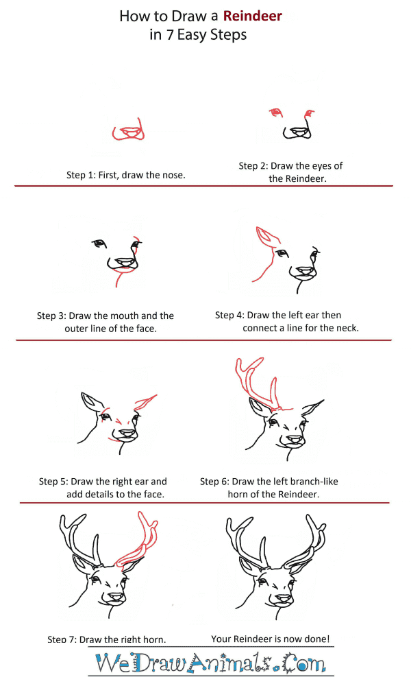 How to Draw a Reindeer Head - Step-by-Step Tutorial