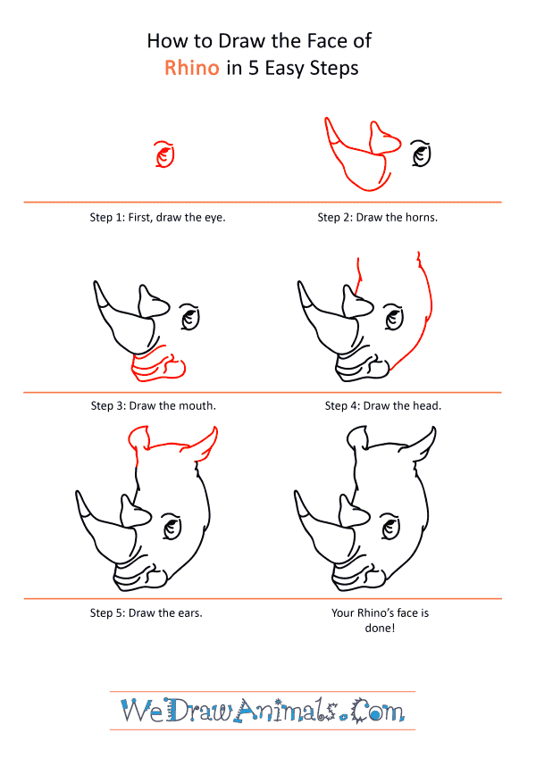How to Draw a Rhino Face - Step-by-Step Tutorial