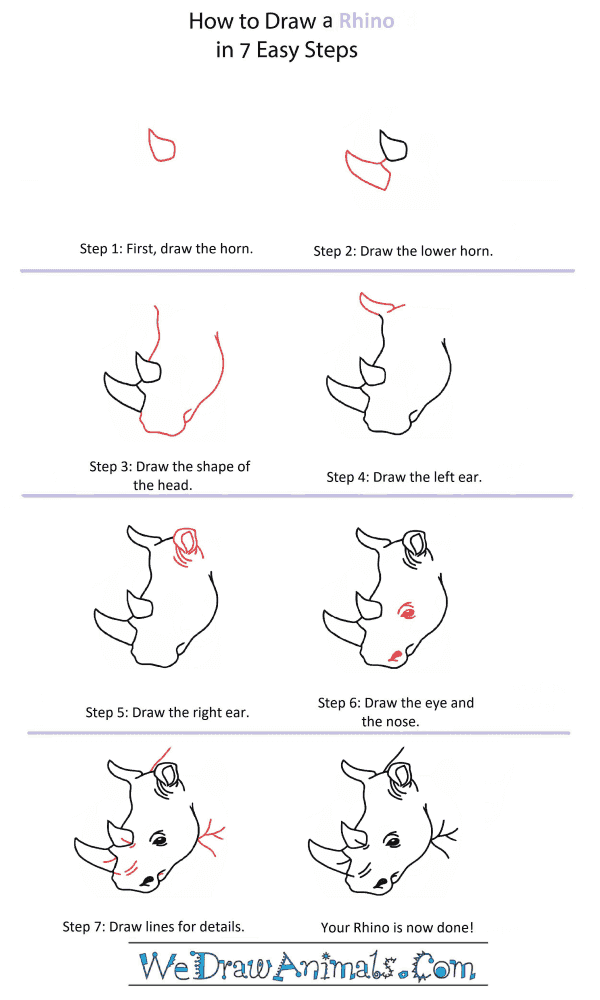 How to Draw a Rhino Head - Step-by-Step Tutorial