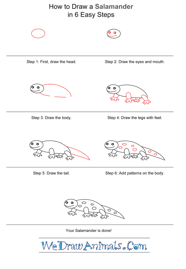 How to Draw a Salamander for Kids - Step-by-Step Tutorial