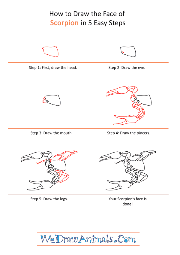 How to Draw a Scorpion Face - Step-by-Step Tutorial