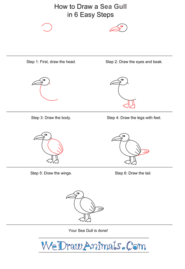 How to Draw a Seagull for Kids - Step-by-Step Tutorial