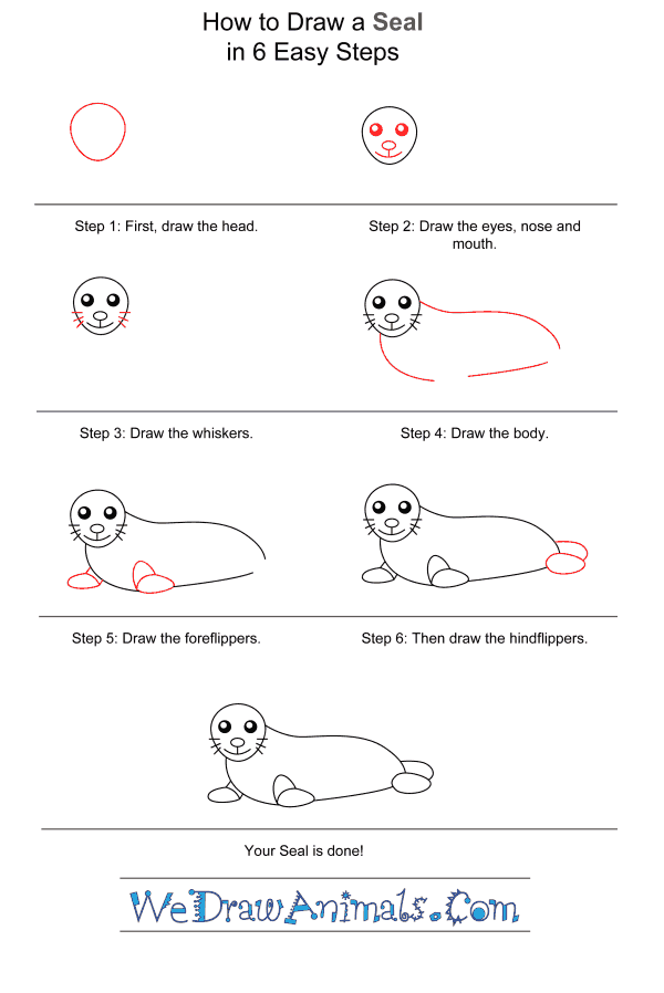 How to Draw a Seal for Kids - Step-by-Step Tutorial