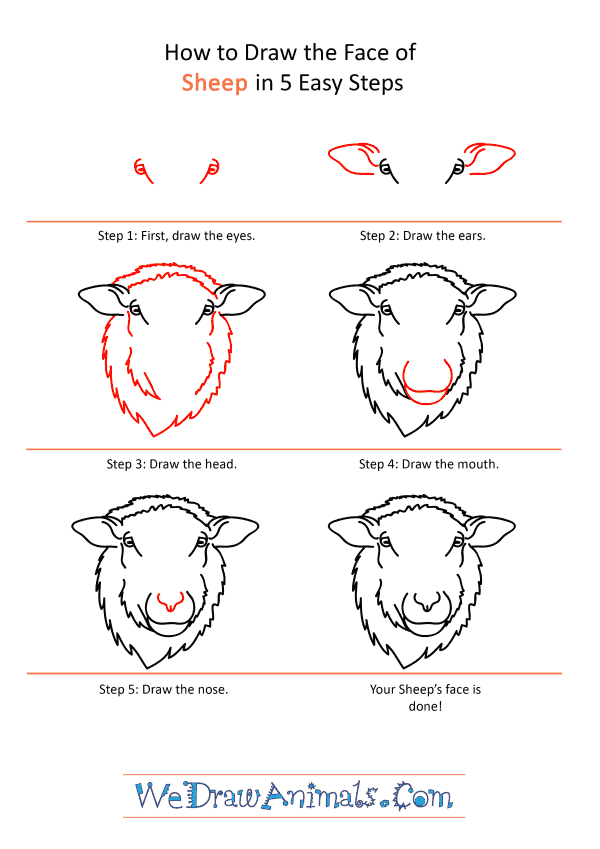 How to Draw a Sheep Face - Step-by-Step Tutorial