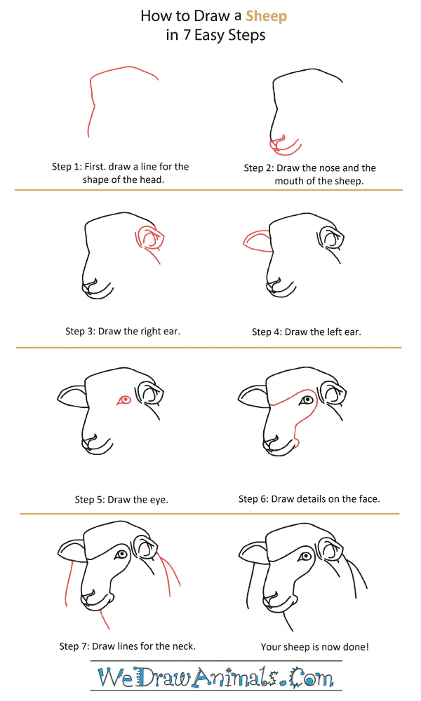 How to Draw a Sheep Head - Step-by-Step Tutorial