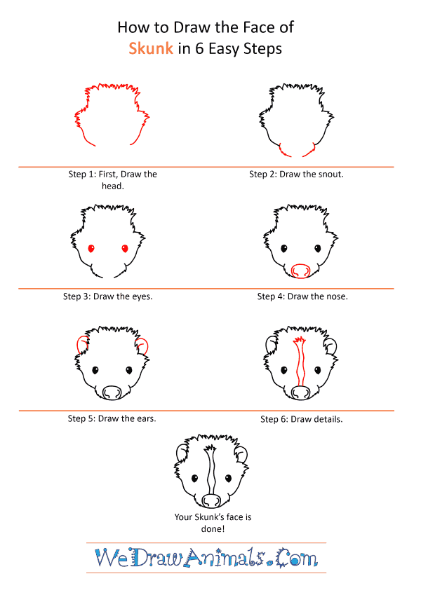 How to Draw a Skunk Face - Step-by-Step Tutorial