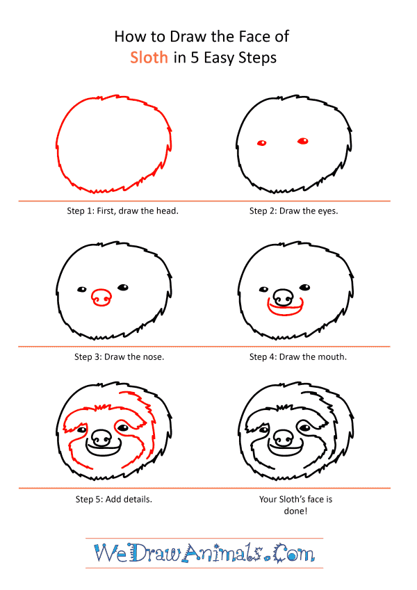How to Draw a Sloth Face - Step-by-Step Tutorial