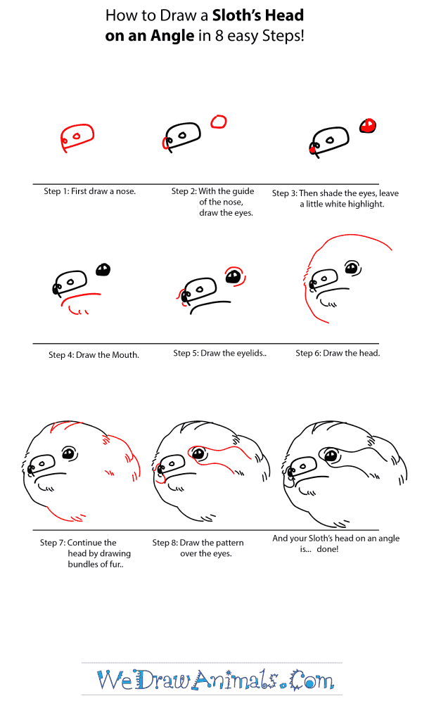 How to Draw a Sloth Head - Step-by-Step Tutorial
