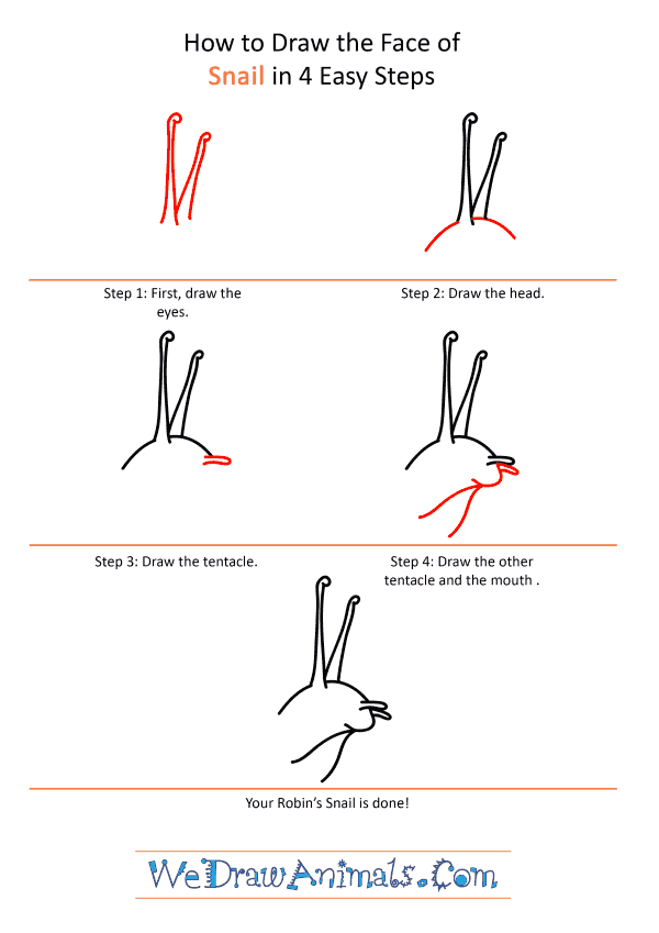 How to Draw a Snail Face - Step-by-Step Tutorial