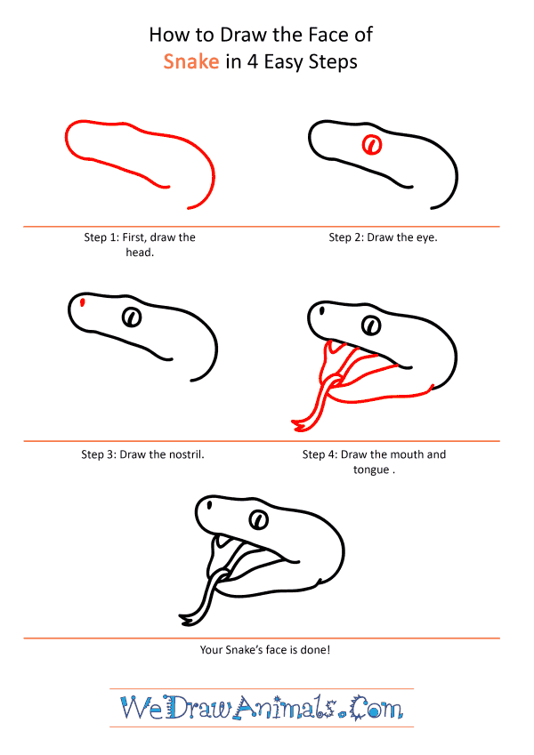 How to Draw a Snake Face - Step-by-Step Tutorial