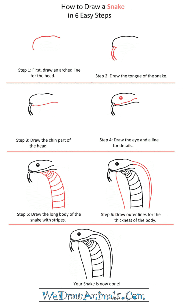 How to Draw a Snake Head - Step-by-Step Tutorial