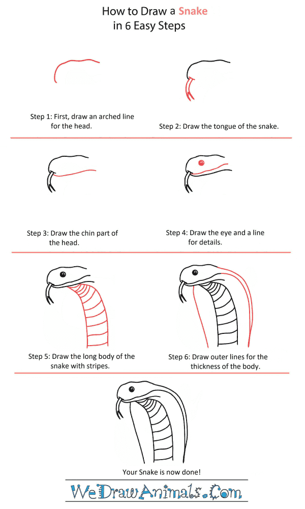 how to draw a snake head