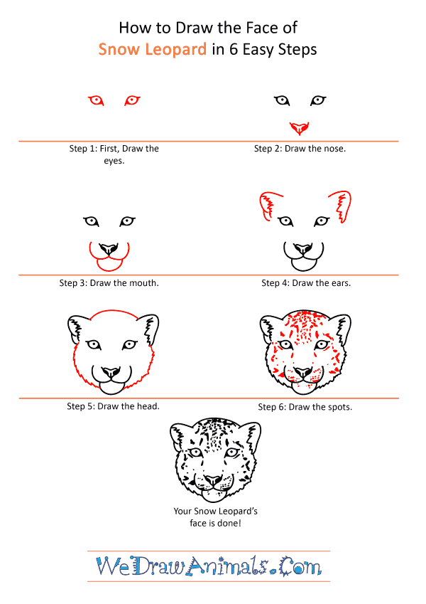 How to Draw a Snow Leopard Face - Step-by-Step Tutorial