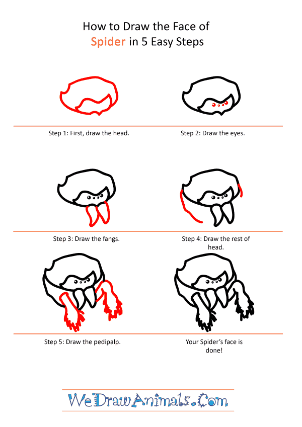How to Draw a Spider Face - Step-by-Step Tutorial