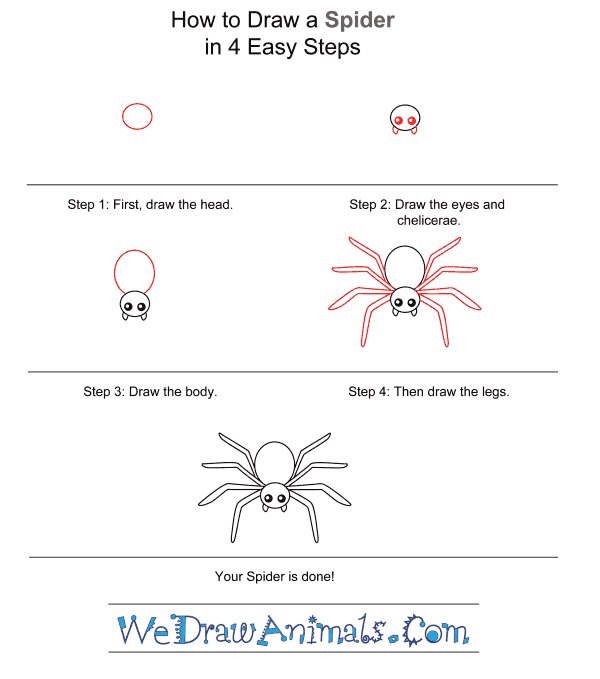 How to Draw a Spider for Kids - Step-by-Step Tutorial