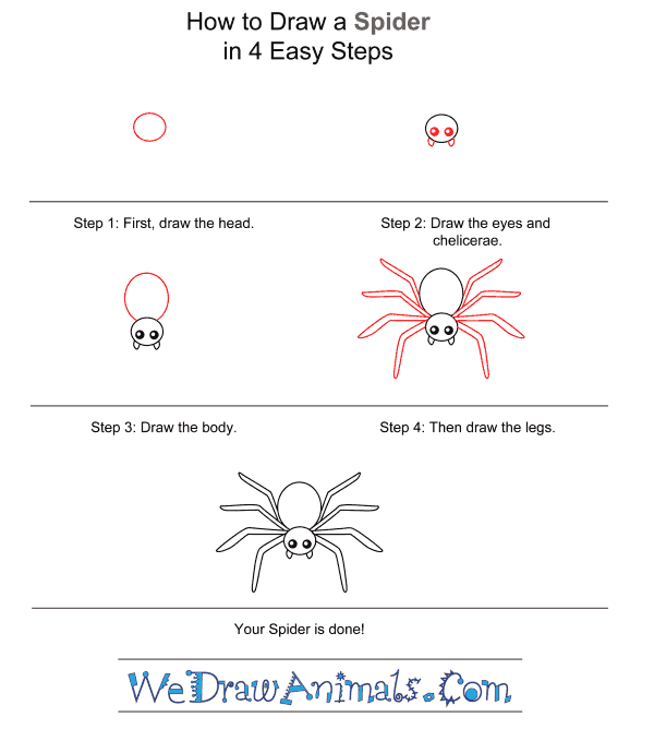 Featured image of post How To Draw A Tarantula Step By Step Also there are some interesting facts and craft ideas on tigers