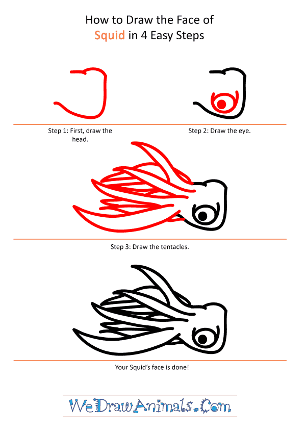 How to Draw a Squid Face - Step-by-Step Tutorial