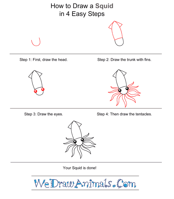 How to Draw a Squid for Kids - Step-by-Step Tutorial