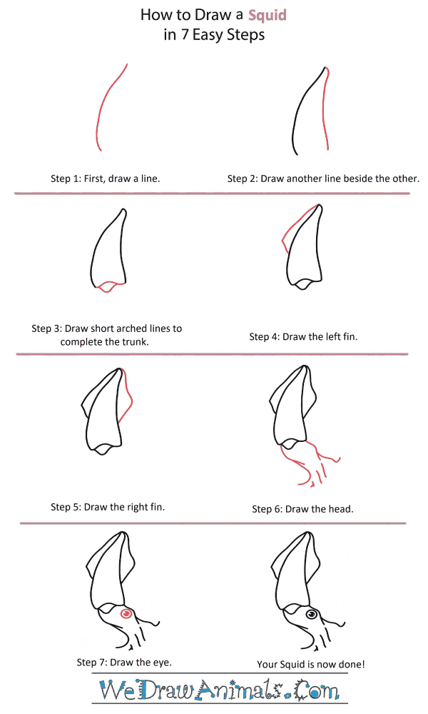 How to Draw a Squid Head - Step-by-Step Tutorial