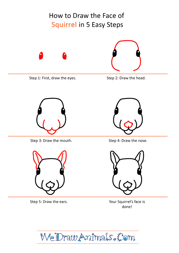 How to Draw a Squirrel Face - Step-by-Step Tutorial