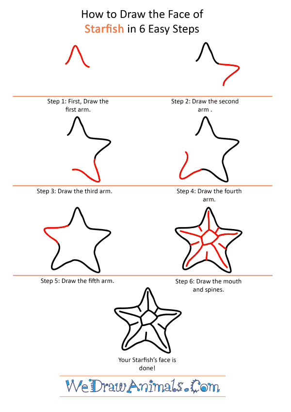 How to Draw a Starfish Face - Step-by-Step Tutorial
