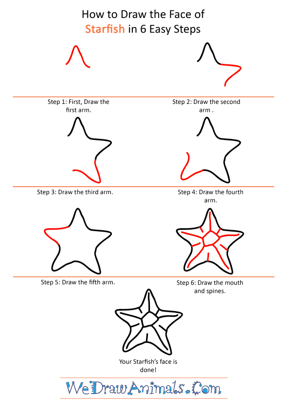 How to Draw a Starfish Face