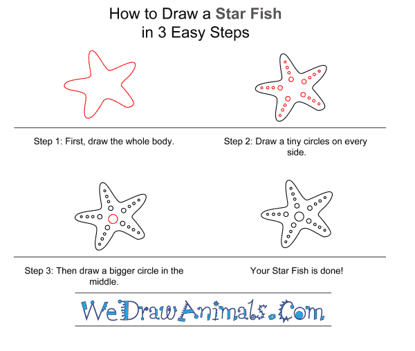 How to Draw a Starfish for Kids - Step-by-Step Tutorial
