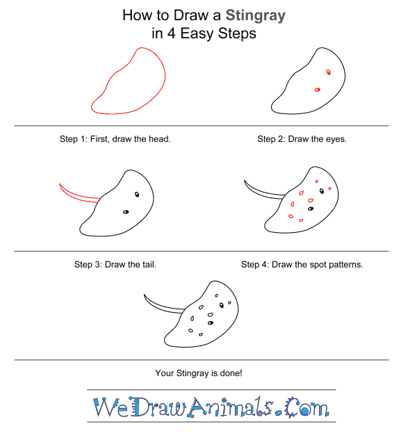 How to Draw a Stingray for Kids - Step-by-Step Tutorial