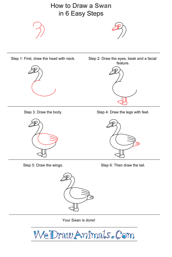 How to Draw a Swan for Kids - Step-by-Step Tutorial