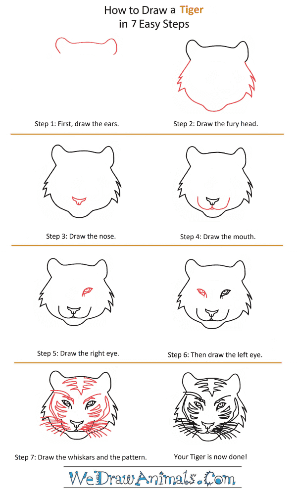 How to Draw a Tiger Head - Step-by-Step Tutorial
