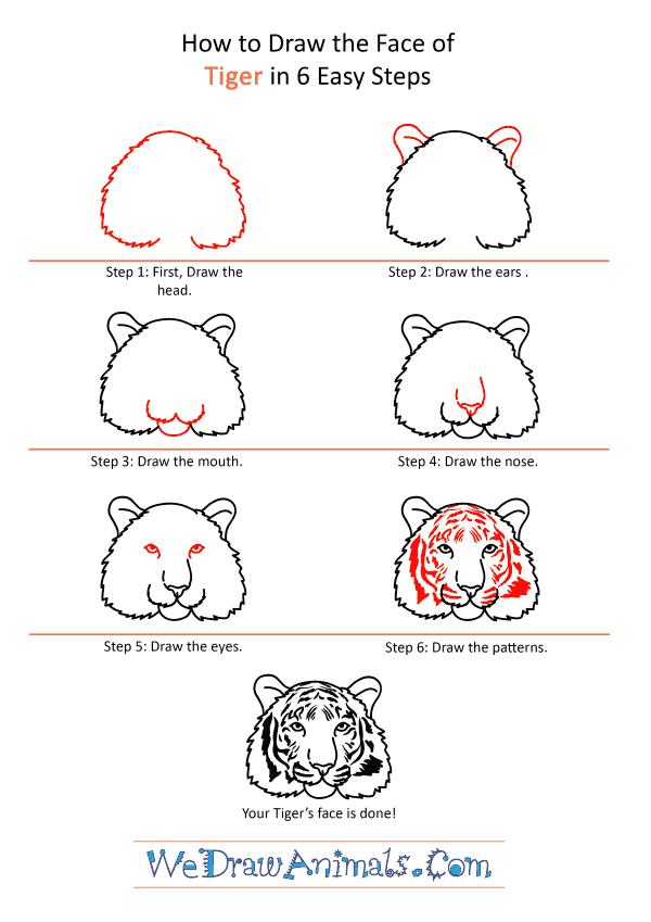 How to Draw a Tiger Shark Face - Step-by-Step Tutorial