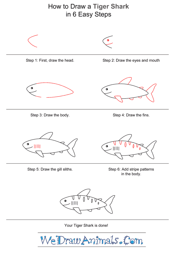 How to Draw a Tiger Shark for Kids - Step-by-Step Tutorial