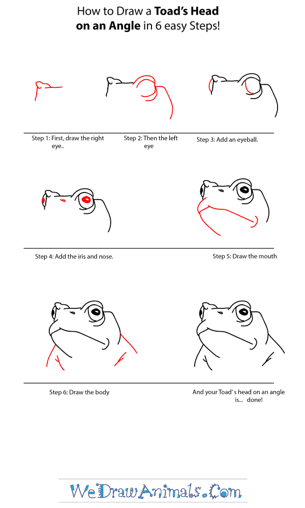 How to Draw a Toad Head - Step-by-Step Tutorial