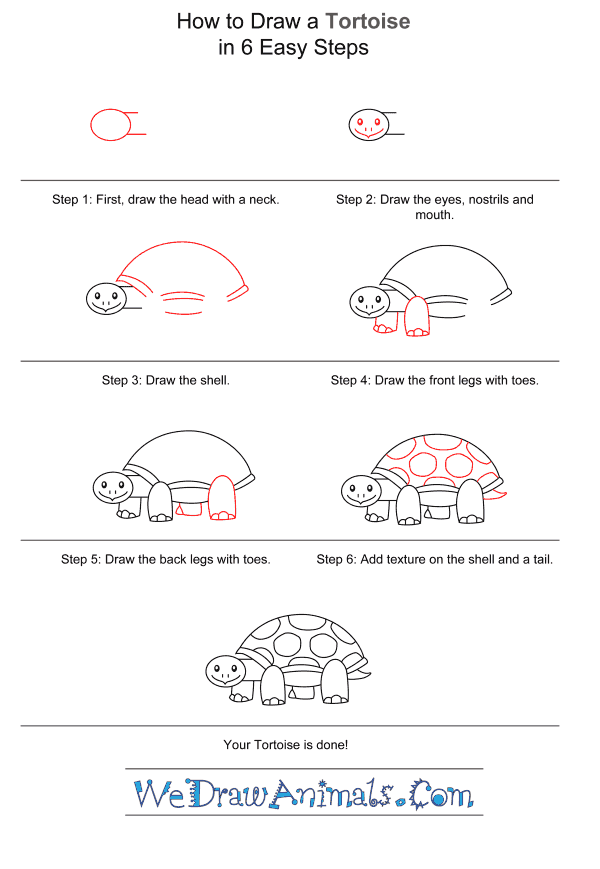 How to Draw a Tortoise for Kids - Step-by-Step Tutorial
