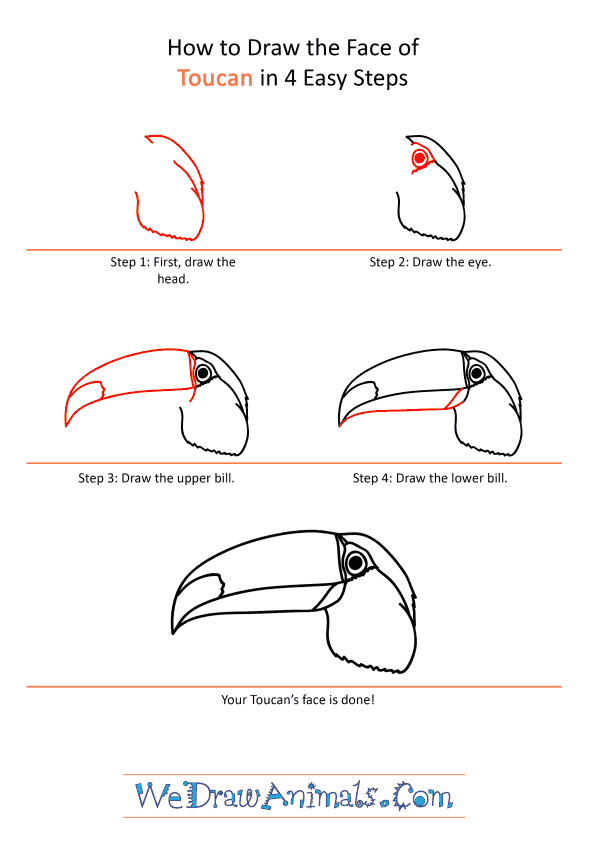 How to Draw a Toucan Face - Step-by-Step Tutorial