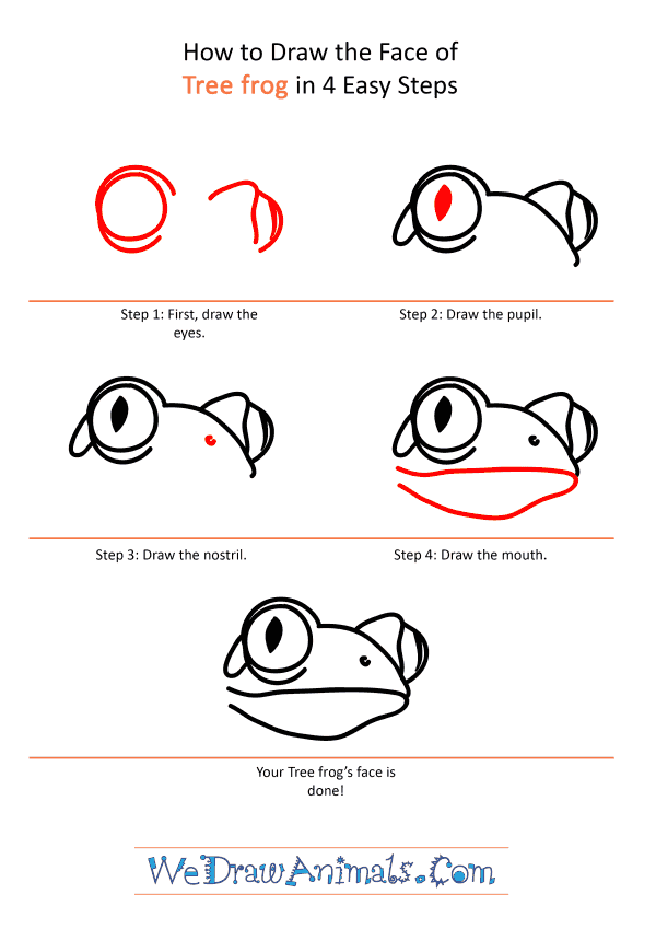 How to Draw a Tree Frog Face - Step-by-Step Tutorial