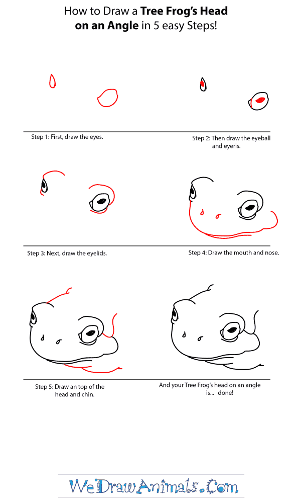 How to Draw a Tree Frog Head - Step-by-Step Tutorial