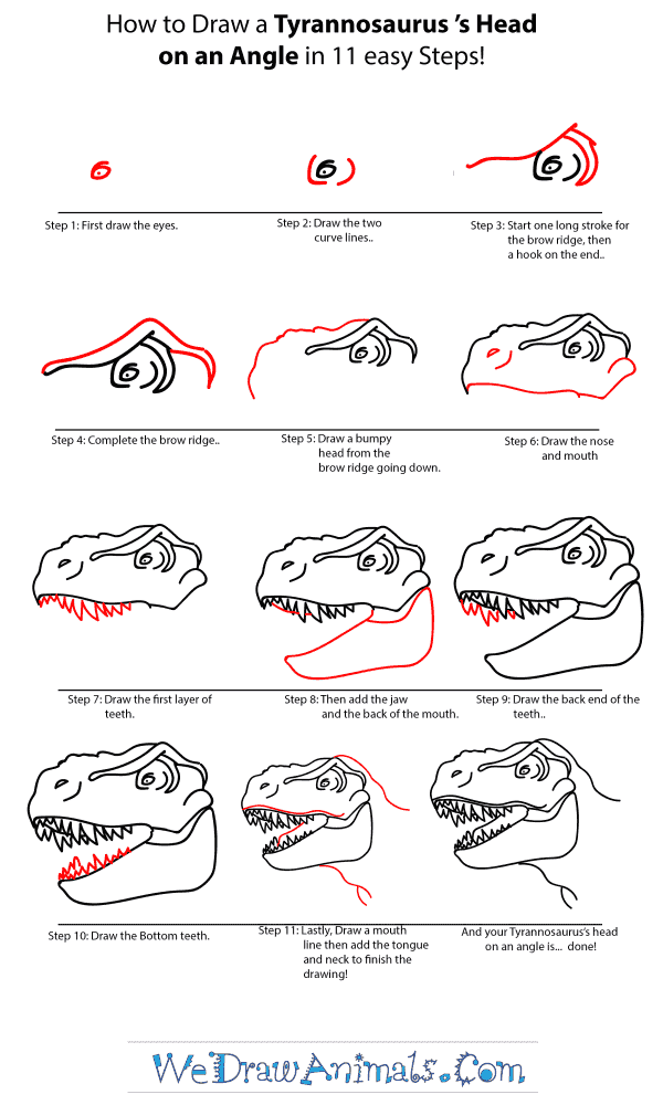 How to Draw a Tyrannosaurus Head - Step-by-Step Tutorial