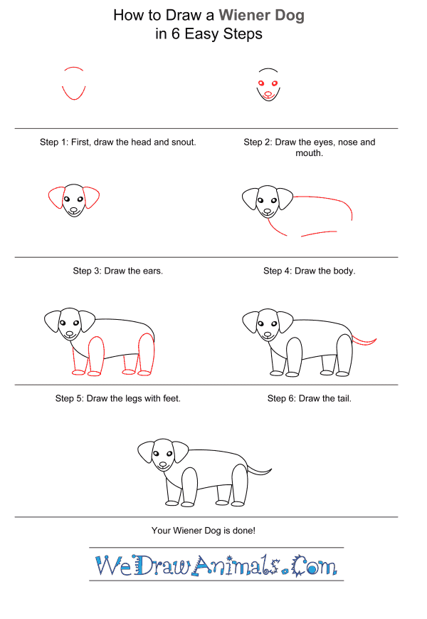 How to Draw a Wiener Dog for Kids - Step-by-Step Tutorial